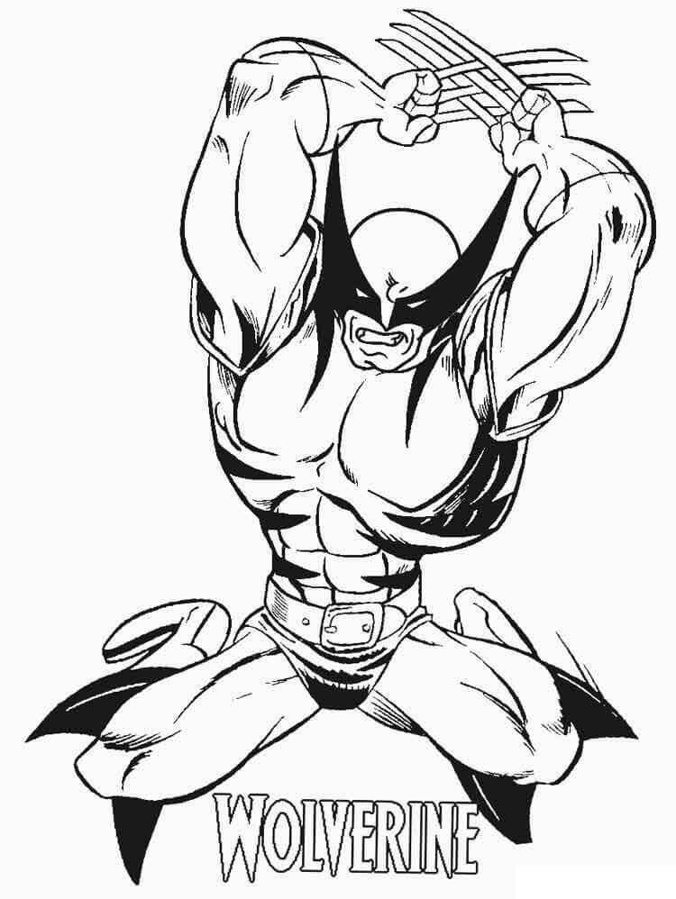 dibujo ataque de lobezno para imprimir y colorear 