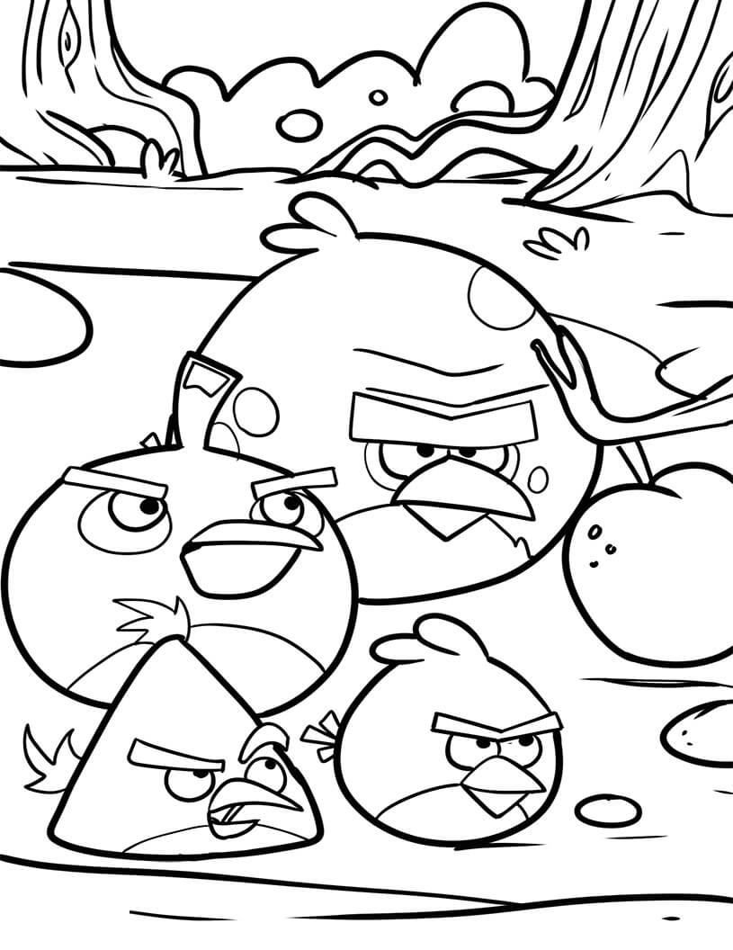 dibujo cuatro pajaros de angry birds para imprimir y colorear